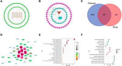 Exploring the Pharmacological Mechanisms of Xihuang Pills Against Prostate Cancer via Integrating Network Pharmacology and Experimental Validation In Vitro and In Vivo